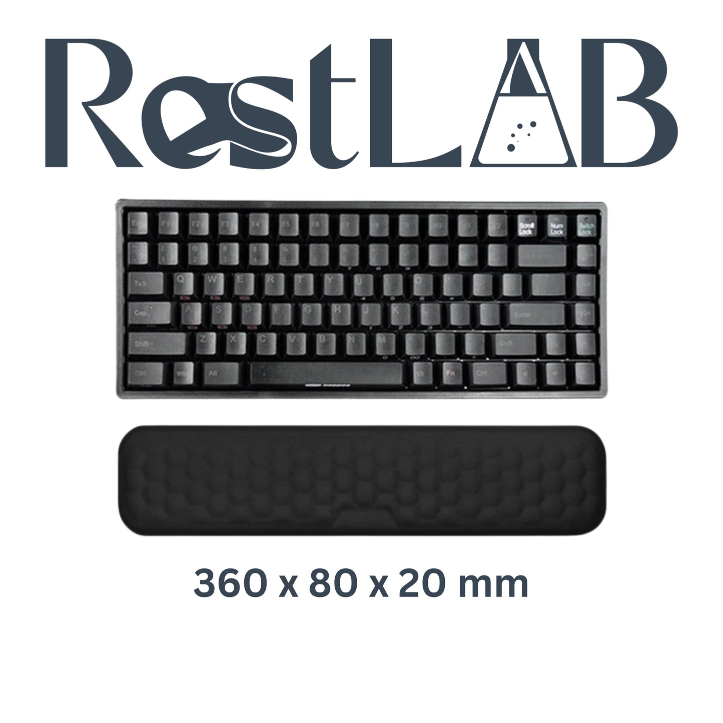 ErgoComfort RestLab